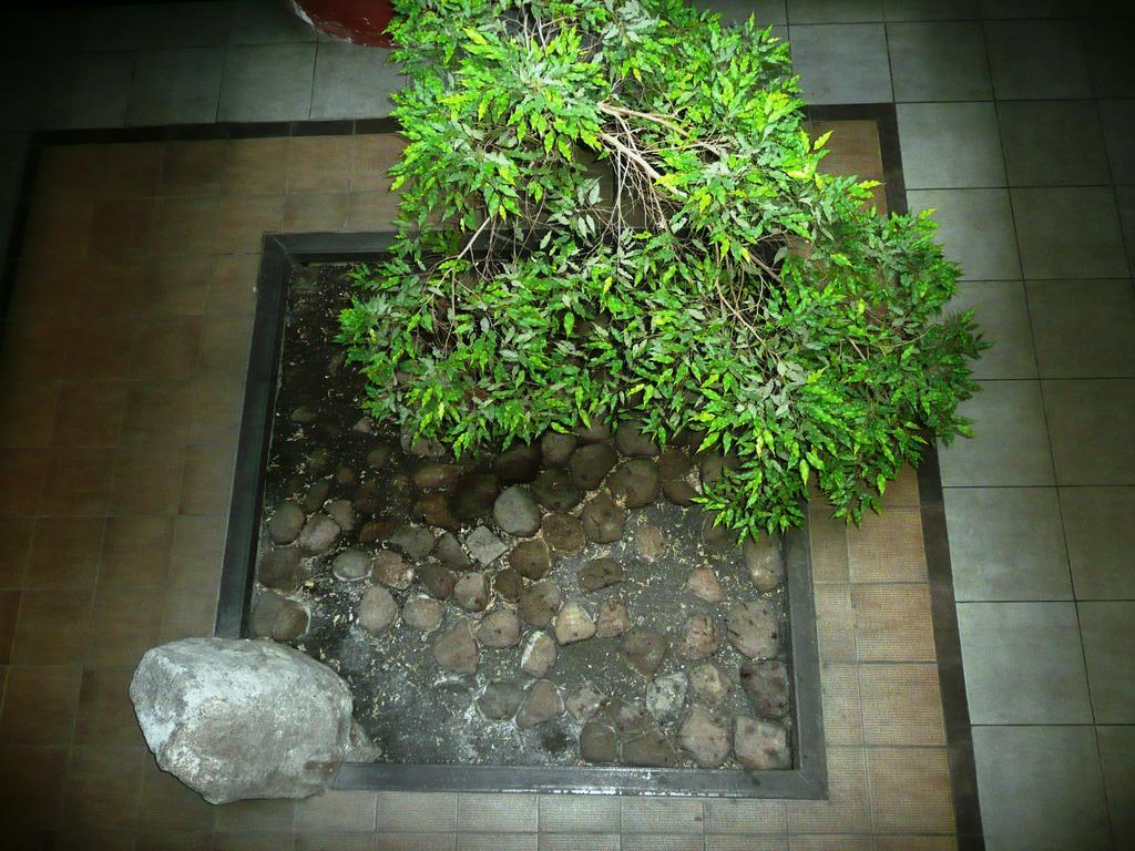 Like Home Apartments - 2 Rooms With Balcony Vilnius Exterior photo
